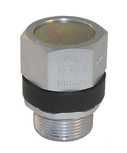 Buy i99812 Safety Valve KNORR