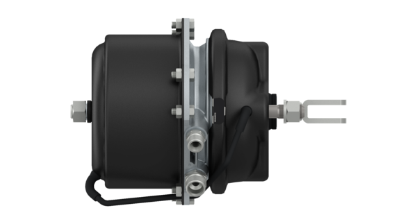 Buy 100252660 Upgraded Type24/24 S WABCO