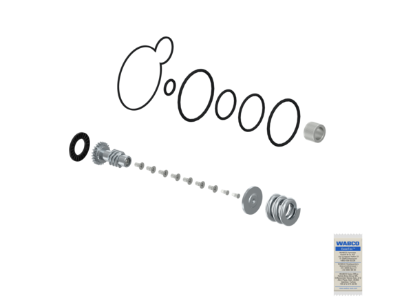 Buy 300008110 Kit: Gear Wheel WABCO