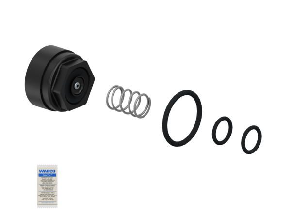 Buy 4613240002 Kit: Spring WABCO