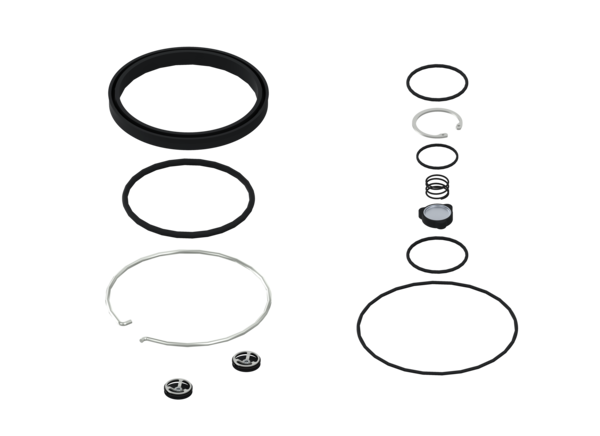 Buy 4620070032 Kit: Valve + Seal WABCO