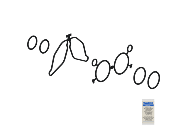 Buy 4724009222 Kit: Seal WABCO