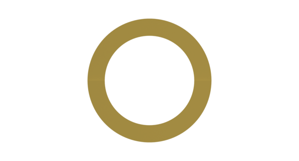 Buy 8930300604 Thrust Ring WABCO