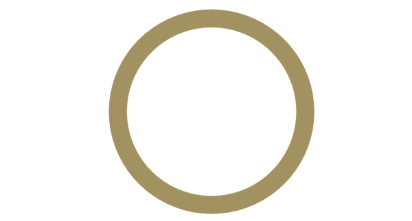 Buy 8930301104 Thrust Ring WABCO