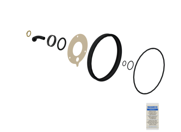 Buy 9254200052 Kit: Lip Seal + Hose WABCO