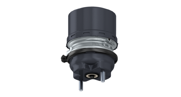 Buy 9254613310 Tristop Cylinder 24/ WABCO