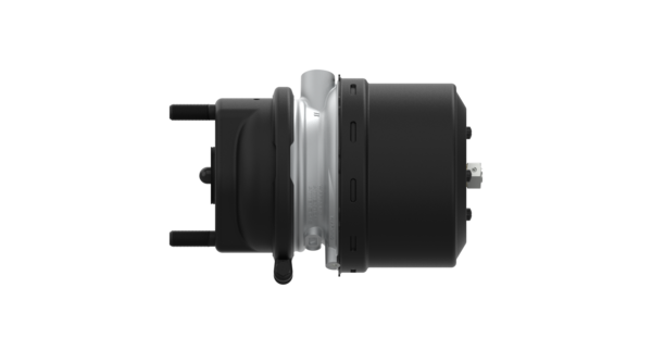 Buy 9254840200 Tristop-Cylinder Dis WABCO