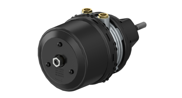 Buy 9254880220 T14/24  Disc Spring WABCO