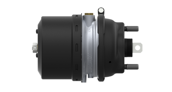 Buy 9254911230 Tristop Cylinder Cam WABCO